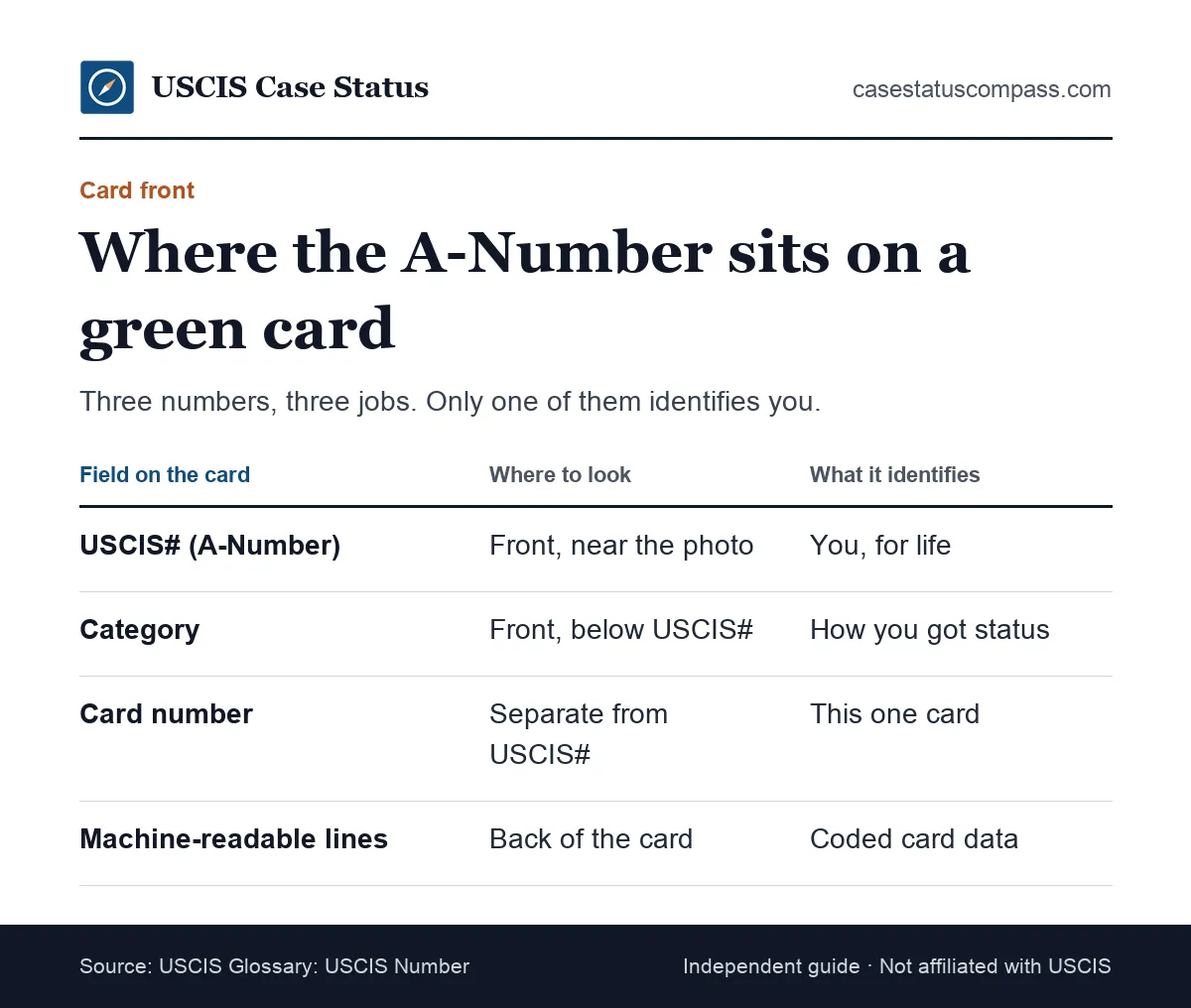 Labelled diagram of a green card front showing where the alien number sits on the USCIS# line, next to the category and Resident Since fields